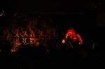 Thumbs/tn_Bild 490.jpg